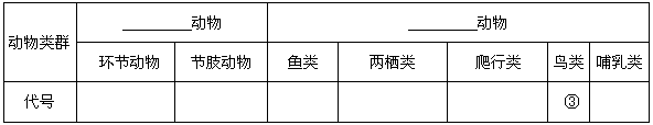 动物园里有各种各样的动物,请将下列动物进行归类,把代号填入表内。①蜜蜂 ②壁虎 ③老鹰 ④蚯蚓 ⑤中华鲟 ⑥大熊猫 ⑦青蛙 动物园里有各种各样的动物,请将下列动物进行归类,把代号填入表内。①蜜蜂 ②壁虎 ③老鹰 ④蚯蚓 ⑤中华鲟 ⑥大熊猫 ⑦青蛙