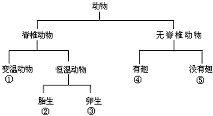 下面有五种动物,请根据分类表解,回答问题。 分别写出下列序号所代表的动物名称:①;② ;③。上述分类表解中第一级 下面有五种动物,请根据分类表解,回答问题。 分别写出下列序号所代表的动物名称:①;② ;③。上述分类表解中第一级