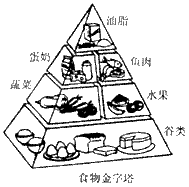 食物的成分主要有蛋白质、糖类、油脂、维生素、无机盐和水等六大类营养素。右图所示的食物金字塔是营养学家提出的健康饮食食物结构。其中谷类富含的营养素是 食物的成分主要有蛋白质、糖类、油脂、维生素、无机盐和水等六大类营养素。右图所示的食物金字塔是营养学家提出的健康饮食食物结构。其中谷类富含的营养素是