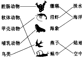 将中间一列动物与其左边所属类别连起来并为它们寻找自己的家园 将中间一列动物与其左边所属类别连起来并为它们寻找自己的家园