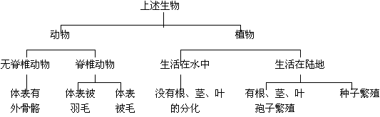 下列十大家熟悉的动物和植物,请根据索引鉴别,并将其代号写在相应的位置: A.水绵 B.蜻蜓 C.野兔D.银杏 E.肾蕨F.麻雀 ①______② 下列十大家熟悉的动物和植物,请根据索引鉴别,并将其代号写在相应的位置: A.水绵 B.蜻蜓 C.野兔D.银杏 E.肾蕨F.麻雀 ①______②