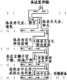 请将下面答案的编号填入迷宫两侧的括号中。 A.羊 B.鲫鱼 C.蛇 D.青蛙 E.麻雀 F.无脊椎动物 G.脊椎动物 H.鱼类 请将下面答案的编号填入迷宫两侧的括号中。 A.羊 B.鲫鱼 C.蛇 D.青蛙 E.麻雀 F.无脊椎动物 G.脊椎动物 H.鱼类