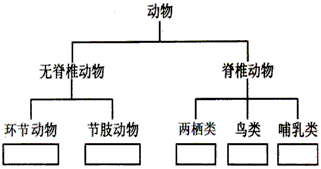 当我们走出教室,来到田野,会看到花丛中飞舞的蜜蜂,俏皮的麻雀,成群的绵羊。翻翻土,你还会看到蚯蚓和青蛙。你能运用我们学的生物学知识给这些动物分类吗? 当我们走出教室,来到田野,会看到花丛中飞舞的蜜蜂,俏皮的麻雀,成群的绵羊。翻翻土,你还会看到蚯蚓和青蛙。你能运用我们学的生物学知识给这些动物分类吗?