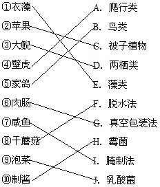把下列与内容相关的连起来 ①衣藻A.爬行类②苹果B.鸟类 ③大鲵C.被子植物 ④壁虎 把下列与内容相关的连起来 ①衣藻A.爬行类②苹果B.鸟类 ③大鲵C.被子植物 ④壁虎