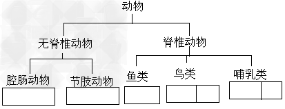 星期天,王冰同学和爸爸、妈妈一起来到动物园。动物园的动物可真多,有大象、鹦鹉、蝴蝶、海豹、热带鱼、珊瑚虫、鸵鸟等等,看得王冰眼花缭乱,请你帮他给这些 星期天,王冰同学和爸爸、妈妈一起来到动物园。动物园的动物可真多,有大象、鹦鹉、蝴蝶、海豹、热带鱼、珊瑚虫、鸵鸟等等,看得王冰眼花缭乱,请你帮他给这些