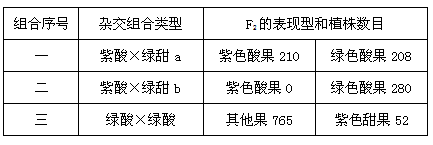 某地开发培育出一种水果,其果皮有紫色的,也有绿色的,果肉有甜的,也有酸的。为了鉴别有关性状的显隐性,用紫色酸果植株分别和绿色甜果植株a、b进行杂交, 某地开发培育出一种水果,其果皮有紫色的,也有绿色的,果肉有甜的,也有酸的。为了鉴别有关性状的显隐性,用紫色酸果植株分别和绿色甜果植株a、b进行杂交,