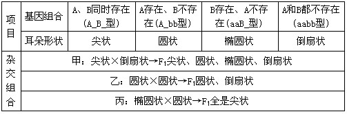 某家畜的耳朵的形状由两对基因(A和a,B和b)控制,这两对基因的遗传符合基因的自由组合定律,但与性别无关。据表回答问题。(1)甲 某家畜的耳朵的形状由两对基因(A和a,B和b)控制,这两对基因的遗传符合基因的自由组合定律,但与性别无关。据表回答问题。(1)甲