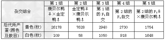 鸭蛋蛋壳的颜色主要有青色和白色两种。金定鸭产青色蛋,康贝尔鸭产白色蛋。为研究蛋壳颜色的遗传规律,研究者利用这两个鸭群做了五组实验,结果如下表所示: 鸭蛋蛋壳的颜色主要有青色和白色两种。金定鸭产青色蛋,康贝尔鸭产白色蛋。为研究蛋壳颜色的遗传规律,研究者利用这两个鸭群做了五组实验,结果如下表所示:
