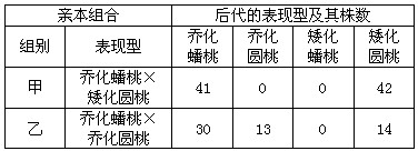 已知桃树中,树体乔化与矮化为一对相对性状(由等位基因D、d控制),蟠桃果形与圆桃果形为一对相对性状(由等位基因H、h控制),蟠桃对圆桃为显性。下表是 已知桃树中,树体乔化与矮化为一对相对性状(由等位基因D、d控制),蟠桃果形与圆桃果形为一对相对性状(由等位基因H、h控制),蟠桃对圆桃为显性。下表是