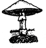 若将下图三种生物分为动物、植物和真菌三大类,其分类等级是A.界B.纲C.科D.种 若将下图三种生物分为动物、植物和真菌三大类,其分类等级是A.界B.纲C.科D.种