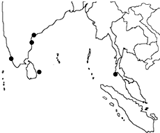读图,回答下列各项:①2004年底,______洋海域发生了海啸.请在图上标出该大洋的名称.②海啸给______洲东南部、南部和非洲东部的国家造成巨大损失.③海
