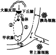稳态是人体进行正常生命活动的必要条件,当机体处于不同的外界环境或生理状态时,体内的一些组织、器官、系统的功能也会发生相应的改变,但是人体并不会因此而 稳态是人体进行正常生命活动的必要条件,当机体处于不同的外界环境或生理状态时,体内的一些组织、器官、系统的功能也会发生相应的改变,但是人体并不会因此而
