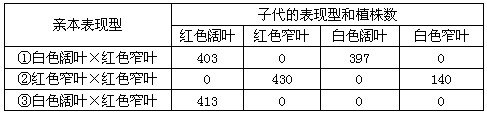 牵牛花的花色由一对等位基因R和r控制,叶的形状由另一对等位基因W和w控制,这两对相对性状是自由组合的。下表是三组不同亲本杂交的结果:(1)根据第 牵牛花的花色由一对等位基因R和r控制,叶的形状由另一对等位基因W和w控制,这两对相对性状是自由组合的。下表是三组不同亲本杂交的结果:(1)根据第