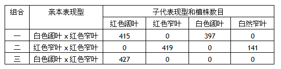 牵牛花的花色由一对等位基因A、a控制,叶的形态由一对等位基因B、b控制,这两对相对性状是自由组合的。下表是三组不同的亲本杂交的结果,请分析回答下列问 牵牛花的花色由一对等位基因A、a控制,叶的形态由一对等位基因B、b控制,这两对相对性状是自由组合的。下表是三组不同的亲本杂交的结果,请分析回答下列问
