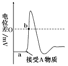 人体内环境稳态的维持,依赖于神经-体液-免疫调节机制,信息分子是它们之间发生联系的“语言”。下图是人体内某些信息传递机制的模式图,字母A-E表示信息 人体内环境稳态的维持,依赖于神经-体液-免疫调节机制,信息分子是它们之间发生联系的“语言”。下图是人体内某些信息传递机制的模式图,字母A-E表示信息