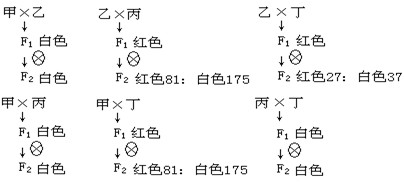 某植物红花和白花这对相对性状同时受多对等位基因控制(如A、a;B、b;C、c……),当个体的基因型中每对等位基因都至少含有一个显性基因时(即A_B_ 某植物红花和白花这对相对性状同时受多对等位基因控制(如A、a;B、b;C、c……),当个体的基因型中每对等位基因都至少含有一个显性基因时(即A_B_