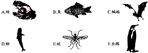 如图为六种动物形态图依据图中动物身体内有无 这一特征,可将图中所有动物分成两类。图中属于同一类( 如图为六种动物形态图依据图中动物身体内有无 这一特征,可将图中所有动物分成两类。图中属于同一类(