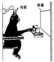为了更好地揭不人体生理功能的调节机制,可用猴进行科学实验(如下图)。请回答下列问题:(1)实验猴右手指受到电刺激时,会产生缩手反 为了更好地揭不人体生理功能的调节机制,可用猴进行科学实验(如下图)。请回答下列问题:(1)实验猴右手指受到电刺激时,会产生缩手反