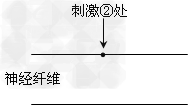 下图是某反射弧的构成示意图,请据图回答:(1)图中①和⑤分别表示反射弧的_________和_________,③中的神经元之间 下图是某反射弧的构成示意图,请据图回答:(1)图中①和⑤分别表示反射弧的_________和_________,③中的神经元之间