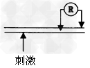 用连着微伏表的两个电极测试受刺激后的神经纤维上的电位变化,已知该纤维静息电位为-70mV,如果微伏表上发生一次持续约1ms的电位差的变化:由-70m 用连着微伏表的两个电极测试受刺激后的神经纤维上的电位变化,已知该纤维静息电位为-70mV,如果微伏表上发生一次持续约1ms的电位差的变化:由-70m