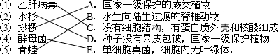 乙肝病毒A.国家一级保护的蕨类植物水杉 B.水生向陆生过渡的脊椎动物挱椤 C.没有细胞结构,有蛋白质外壳和核酸组成酵母菌 D.种子没有果 魔方格