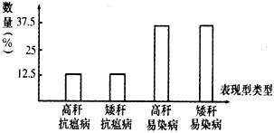 假如水稻的高秆(D)对矮秆(d)为显性,抗瘟病(R)对易染病(r)为显性。现有一高秆抗病的亲本水稻和矮秆易染病的亲本水稻杂交,产生的F1再和隐性类型 假如水稻的高秆(D)对矮秆(d)为显性,抗瘟病(R)对易染病(r)为显性。现有一高秆抗病的亲本水稻和矮秆易染病的亲本水稻杂交,产生的F1再和隐性类型