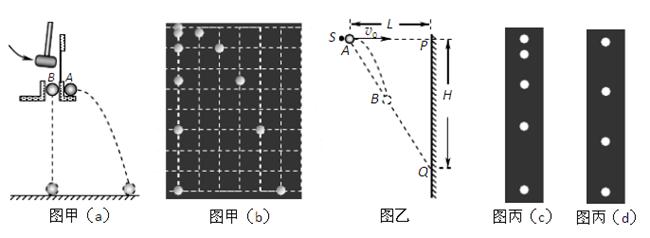 图甲是一个能够显示平抛运动及其特点的演示实验,用小锤敲击弹性金属片,小球A就沿水平方向飞出,做平抛运动;同时小球B被松开,做自由落体运动。图甲(b 图甲是一个能够显示平抛运动及其特点的演示实验,用小锤敲击弹性金属片,小球A就沿水平方向飞出,做平抛运动;同时小球B被松开,做自由落体运动。图甲(b