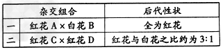 在香水玫瑰的花色遗传中,红花、白花为一对相对性状,受一对等位基因的控制(用R、r表示)。从下面的杂交实验中可以得出的正确结论是 在香水玫瑰的花色遗传中,红花、白花为一对相对性状,受一对等位基因的控制(用R、r表示)。从下面的杂交实验中可以得出的正确结论是