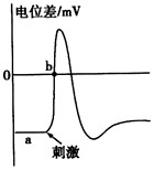 离体神经纤维某一部位受到适当刺激时,受刺激部位细胞膜两侧会出现暂时性的电位变化,产生神经冲动。图示该部位受刺激前后,膜两侧电位差的变化。请回答: 离体神经纤维某一部位受到适当刺激时,受刺激部位细胞膜两侧会出现暂时性的电位变化,产生神经冲动。图示该部位受刺激前后,膜两侧电位差的变化。请回答: