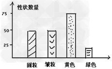 豌豆子叶的黄色(Y)对绿色(y)为显性,圆粒种子(R)对皱粒(r)为显性,某人用黄色圆粒和黄色皱粒的豌豆做亲本进行杂交,F1代出现4种表现类型。对性状的统 豌豆子叶的黄色(Y)对绿色(y)为显性,圆粒种子(R)对皱粒(r)为显性,某人用黄色圆粒和黄色皱粒的豌豆做亲本进行杂交,F1代出现4种表现类型。对性状的统