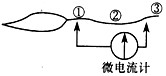 用—新鲜的神经—肌肉标本,设计了如图所示的实验,②点位于两电极之间的正中心,在①②③三点分别给予适宜的刺激,下列判断不正确 用—新鲜的神经—肌肉标本,设计了如图所示的实验,②点位于两电极之间的正中心,在①②③三点分别给予适宜的刺激,下列判断不正确