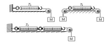 在下图所示的三种情况中,砝码的质量均为M,不计一切摩擦和弹簧秤的重力,则三个弹簧秤的示数T1、T2、T3的关系是()A.T1 = T2 =T3 B.T1 = T 在下图所示的三种情况中,砝码的质量均为M,不计一切摩擦和弹簧秤的重力,则三个弹簧秤的示数T1、T2、T3的关系是()A.T1 = T2 =T3 B.T1 = T