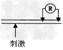 用连着微伏表的两个电极测试受刺激后的神经纤维上的电位变化,已知该纤维静息电位为-70mV,如果微伏表上发生一次持续约1ms的电位差的变化:由-70m 用连着微伏表的两个电极测试受刺激后的神经纤维上的电位变化,已知该纤维静息电位为-70mV,如果微伏表上发生一次持续约1ms的电位差的变化:由-70m
