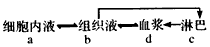 下图是人体某局部组织的模式图,箭头表示物质交换方向,A、B、C表示结构,a、b、c、d表示液体。请据图分析回答:(1)图中A、B 下图是人体某局部组织的模式图,箭头表示物质交换方向,A、B、C表示结构,a、b、c、d表示液体。请据图分析回答:(1)图中A、B