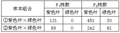 二倍体结球甘蓝的紫色叶对绿色叶为显性,控制该相对性状的两对等位基因(A、a和B、b)分别位于3号和8号染色体上。下表是纯合甘蓝杂交实验的统计数据: 二倍体结球甘蓝的紫色叶对绿色叶为显性,控制该相对性状的两对等位基因(A、a和B、b)分别位于3号和8号染色体上。下表是纯合甘蓝杂交实验的统计数据: