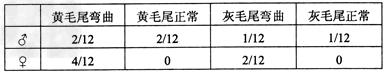 小鼠是遗传学研究常用的实验材料,其性别决定方式为XY型。下面是关于小鼠某些性状的遗传实验,请分析回答:(1)正常小鼠体内常染色体上的B基因可以编码胱 小鼠是遗传学研究常用的实验材料,其性别决定方式为XY型。下面是关于小鼠某些性状的遗传实验,请分析回答:(1)正常小鼠体内常染色体上的B基因可以编码胱