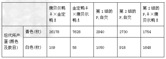 鸭蛋蛋壳的颜色主要有青色和白色两种。金定鸭产青色蛋,康贝尔鸭产白色蛋。为研究蛋壳颜色的遗传规律,研究者利用这两个鸭群做了五组实验,结果如下表所示。 鸭蛋蛋壳的颜色主要有青色和白色两种。金定鸭产青色蛋,康贝尔鸭产白色蛋。为研究蛋壳颜色的遗传规律,研究者利用这两个鸭群做了五组实验,结果如下表所示。