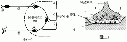 下图(一)是反射弧的组成示意图(虚线内为神经中枢),图(二)是一个突触的结构示意图,根据图示信息回答下列问题:(1)图(一)中表示感受器的是编号 下图(一)是反射弧的组成示意图(虚线内为神经中枢),图(二)是一个突触的结构示意图,根据图示信息回答下列问题:(1)图(一)中表示感受器的是编号