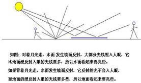 雨过天晴的夜晚,为了不踩到地上的积水,下面判断中正确的是( )A.迎着月光走,地上暗处是水;背着月光走,地上亮处是水B.迎着月光走,地上亮处是水;背着月光走,地 雨过天晴的夜晚,为了不踩到地上的积水,下面判断中正确的是( )A.迎着月光走,地上暗处是水;背着月光走,地上亮处是水B.迎着月光走,地上亮处是水;背着月光走,地