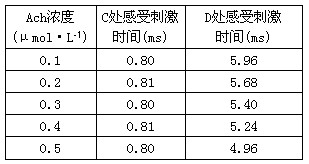 乙酰胆碱(Ach)是哺乳动物中枢神经系统中广泛分布的兴奋性神经递质。为研究乙酰胆碱浓度与反应时间的关系,实验人员设计了如下实验:在图中A处注入不同浓 乙酰胆碱(Ach)是哺乳动物中枢神经系统中广泛分布的兴奋性神经递质。为研究乙酰胆碱浓度与反应时间的关系,实验人员设计了如下实验:在图中A处注入不同浓