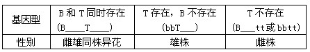 玉米植株的性别决定受两对基因(B—b,T—t)的支配,这两对基因位于非同源染色体上。玉米植株的性别和基因型的对应关系如下表,请回答下列问题: 玉米植株的性别决定受两对基因(B—b,T—t)的支配,这两对基因位于非同源染色体上。玉米植株的性别和基因型的对应关系如下表,请回答下列问题:
