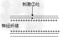 下图是某反射弧的构成示意图,请据图回答:(1)图中①和⑤分别表示反射弧的_________和_________,③中的神经元之间 下图是某反射弧的构成示意图,请据图回答:(1)图中①和⑤分别表示反射弧的_________和_________,③中的神经元之间