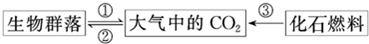 根据如图所示碳循环的部分过程进行的有关分析,不正确的是A.参与①过程的生物包括生产者、消费者和分解者B.②过程增强后①过程随之增强,故不能通过增强②过程