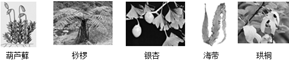 阅读以下资料,并回答以下问题:资料1.中国国土辽阔,海域宽广,自然条件复杂多样,加之有较古老的地质历史,孕育了极其丰富的植物、动物和微生物物种,及其繁复多彩的生 魔方格
