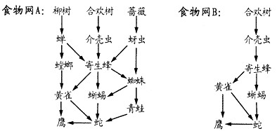 请分析下面两个生态系统中的食物网简图,回答问题:(1)食物网A描述了具有多种生物的生态系统,其获取食物的路径具有较多选择的生物是 请分析下面两个生态系统中的食物网简图,回答问题:(1)食物网A描述了具有多种生物的生态系统,其获取食物的路径具有较多选择的生物是