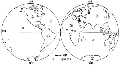 读大洲大洋分布示意图,回答问题。写出图中字母代表的大洋的名字:A_______,C_______;写出下列大洲在图中的序号:北美洲_______, 读大洲大洋分布示意图,回答问题。写出图中字母代表的大洋的名字:A_______,C_______;写出下列大洲在图中的序号:北美洲_______,
