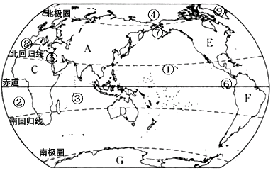 读世界略图,回答问题:写出图中字母和序号代表的大洲和大洋名称:B_______;D_______;F_______;①_______;②_ 读世界略图,回答问题:写出图中字母和序号代表的大洲和大洋名称:B_______;D_______;F_______;①_______;②_