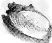 根据句意及图画提示填写单词。 1.There is a bowl_____on the table. 2. There are four_____in 根据句意及图画提示填写单词。 1.There is a bowl_____on the table. 2. There are four_____in