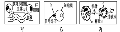细胞通讯是指在多细胞生物的细胞社会中,细胞间或细胞内通过高度精确和高效地发送与接收信息的通讯机制,并通过放大引起快速的细胞生理反应,或者引起基因活动,之后 细胞通讯是指在多细胞生物的细胞社会中,细胞间或细胞内通过高度精确和高效地发送与接收信息的通讯机制,并通过放大引起快速的细胞生理反应,或者引起基因活动,之后