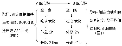 为研究长跑中运动员体内的物质代射及其调节,科学家选择年龄、体重相同,身体健康的8名男性运动员,利用等热量的A、B两类食物做了两次实验。实验还测定了糖 为研究长跑中运动员体内的物质代射及其调节,科学家选择年龄、体重相同,身体健康的8名男性运动员,利用等热量的A、B两类食物做了两次实验。实验还测定了糖
